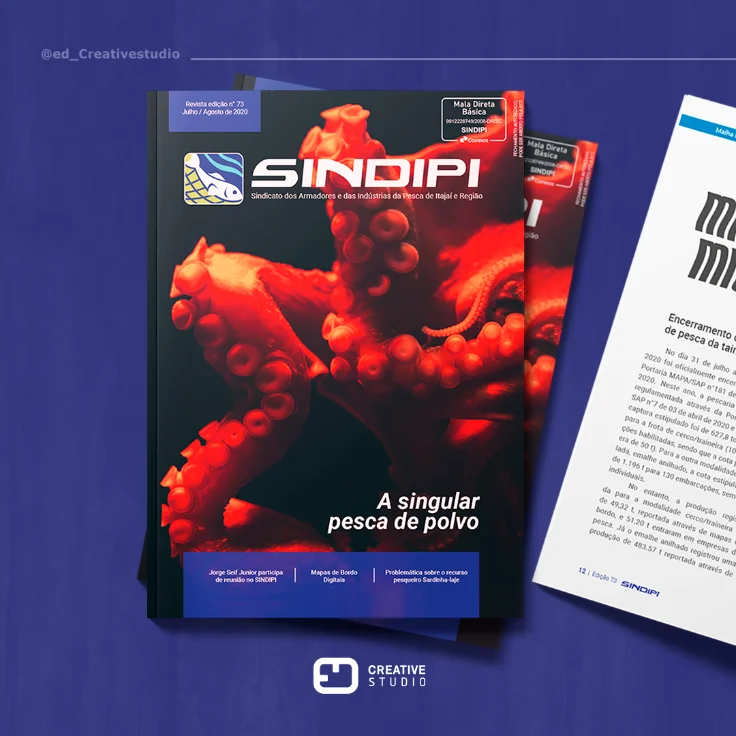 Projeto da ED Creative Studio para Sindipi
